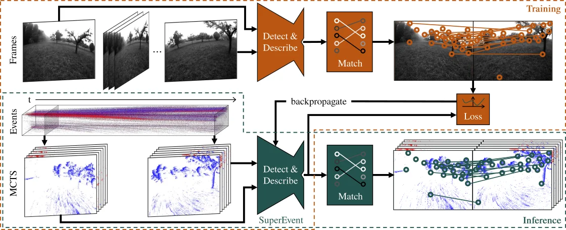 The SuperEvent pipeline: image frames and event streams are encoded, then keypoints are detected, described and matched, with the loss backpropagated during training